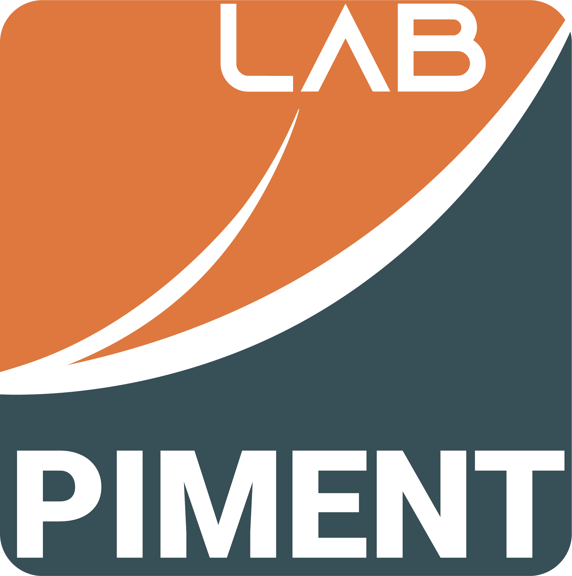 Logo du laboratoire PIMENT